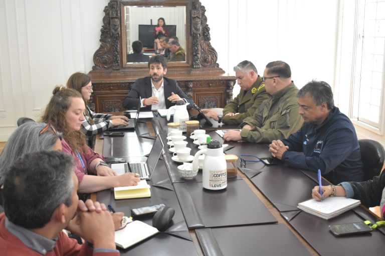 Autoridades coordinan medidas para un seguro y ordenado inicio del Año Escolar 2026 en Magallanes