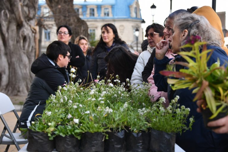 Municipio celebra el Día de las Plantas con entrega gratuita de flores
